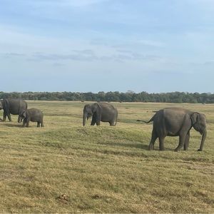 Meet your Posher, Lydia